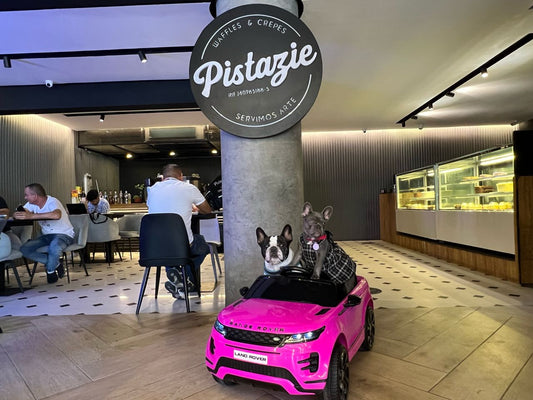 Pistazie