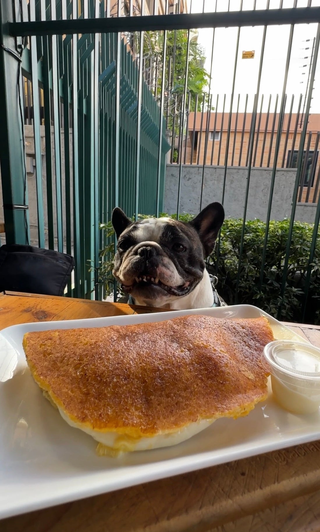 CACHAPAS DEL ESTE 2