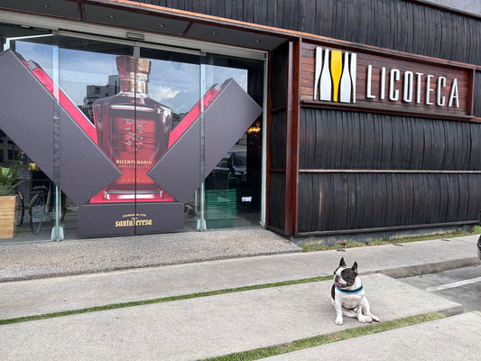LICOTECA